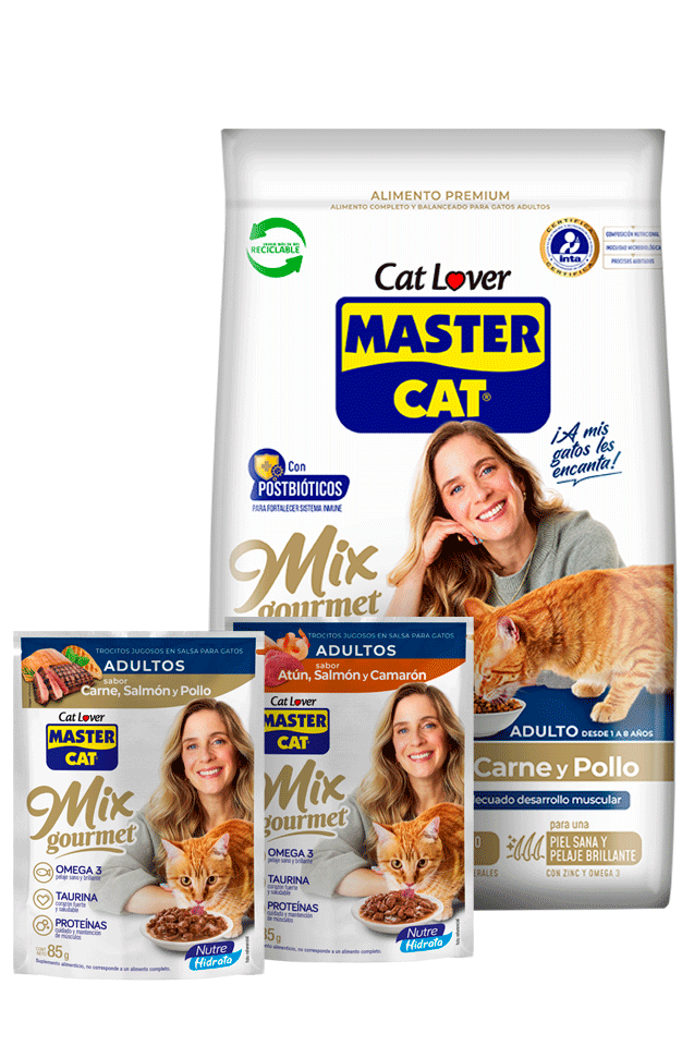 Master Cat Mix Gourmet 3 kg