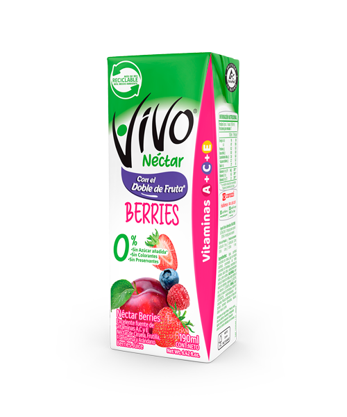 Vivo Néctar Berries 190 ml