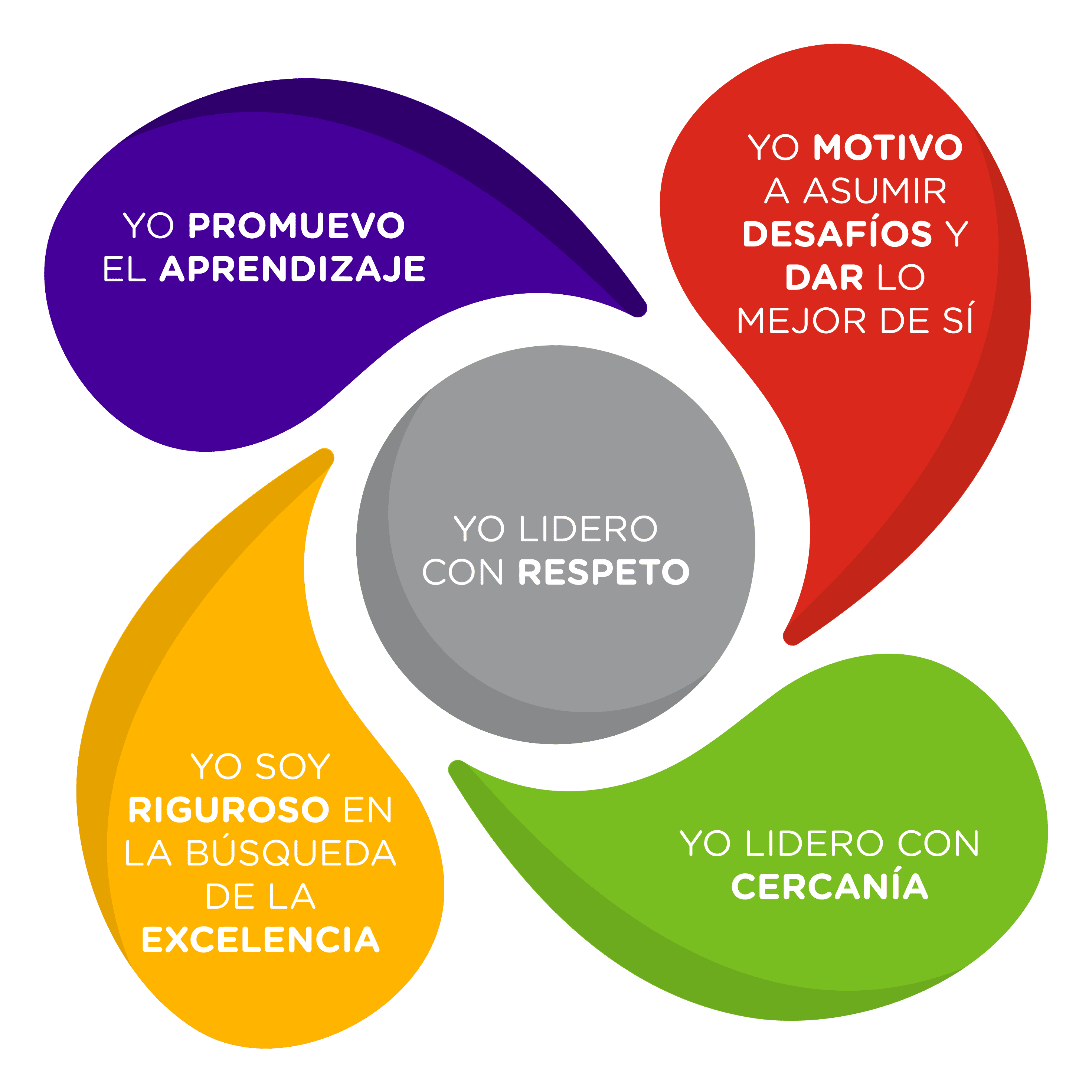 Nuestro liderazgo